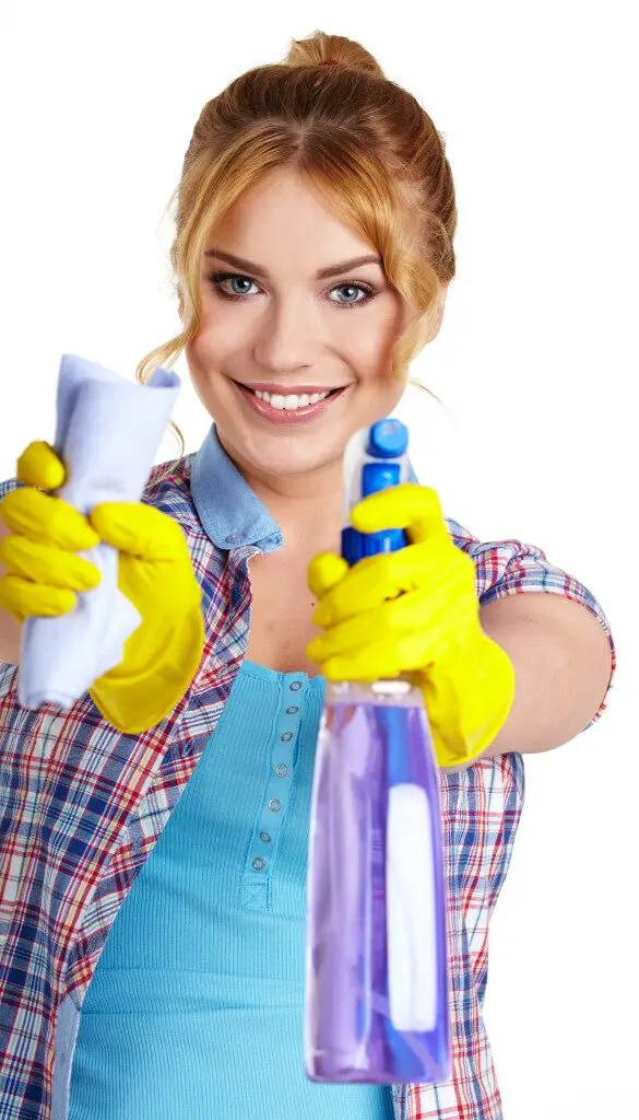 Cleaner