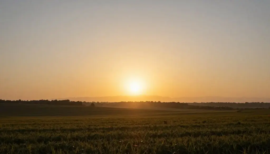 Hope and renewal through Lent prayers and personal transformation