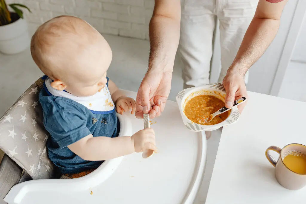 Baby Led Weaning Recipes