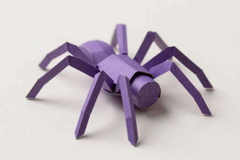 Toilet paper roll spider with bouncy zigzag accordion paper legs Toilet paper roll spider with bouncy zigzag accordion paper legs